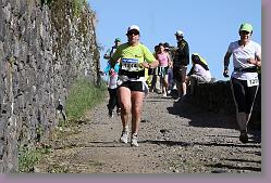 Salers 28.05.11 05 332 * 640 x 427 * (147KB)